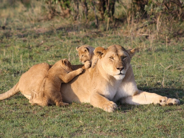 Serengeti National Park