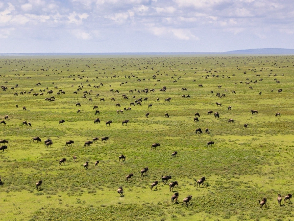 Serengeti National Park