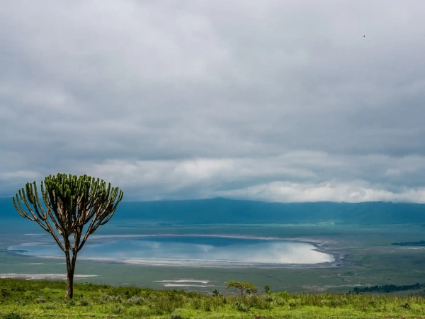 Ngorongoro Crater