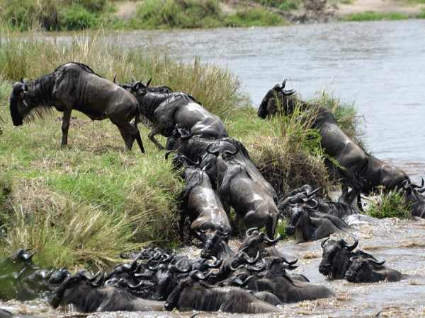 Serengeti National Park