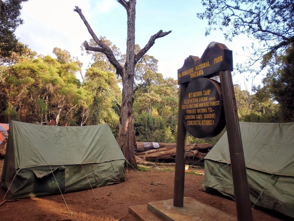 Mti Mkubwa Camp