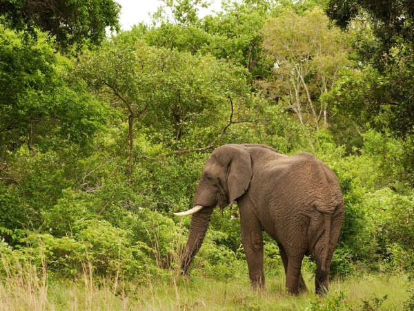 Tarangire National Park