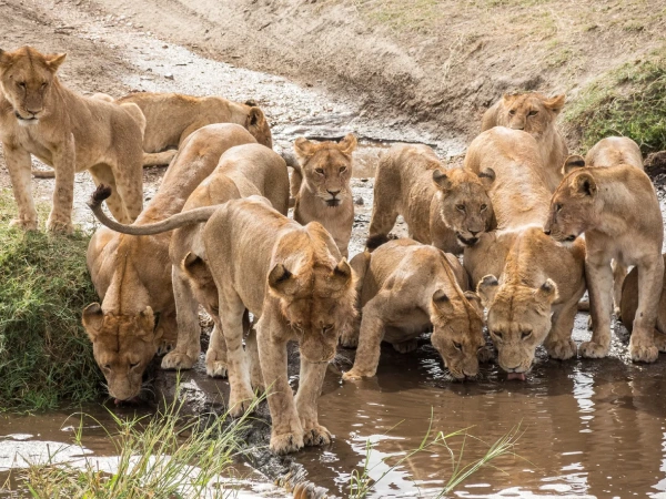 Serengeti National Park