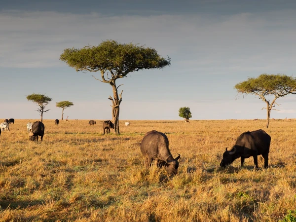 Serengeti National Park