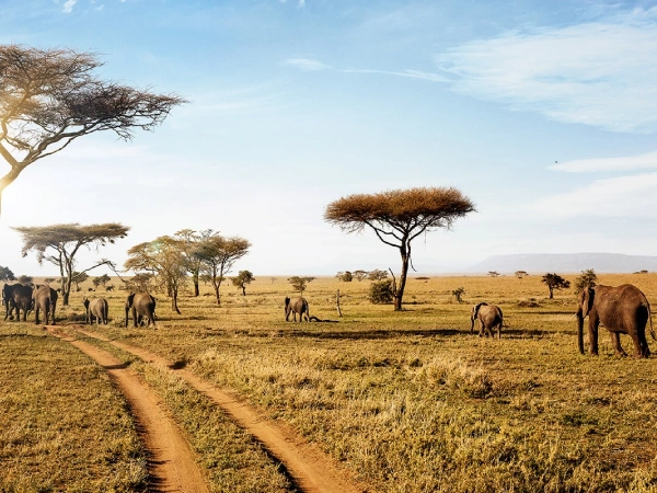 Serengeti National Park